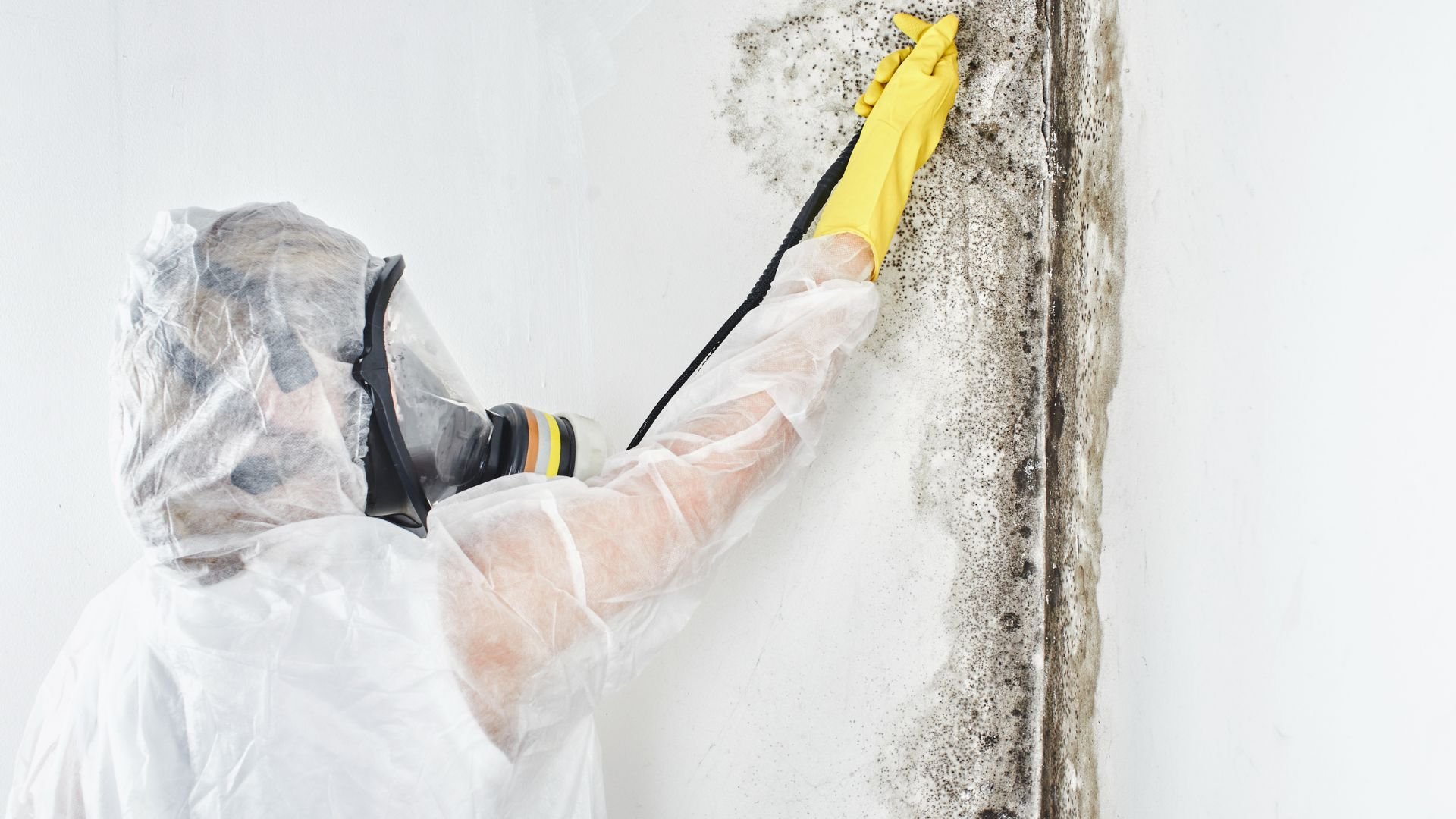 Person in protective gear removing mold from wall with yellow gloves