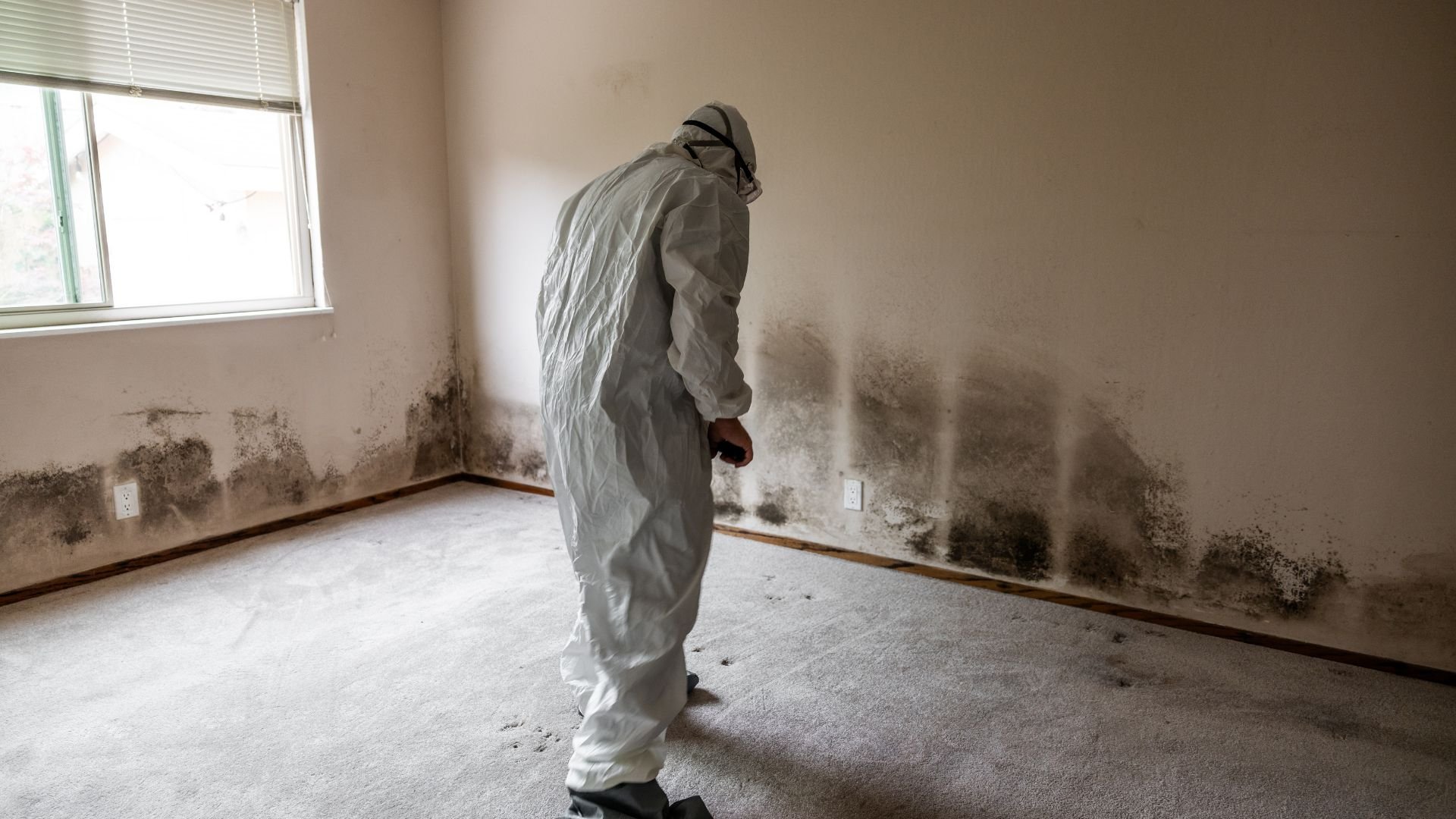 Person in protective suit examining extensive black mold on walls