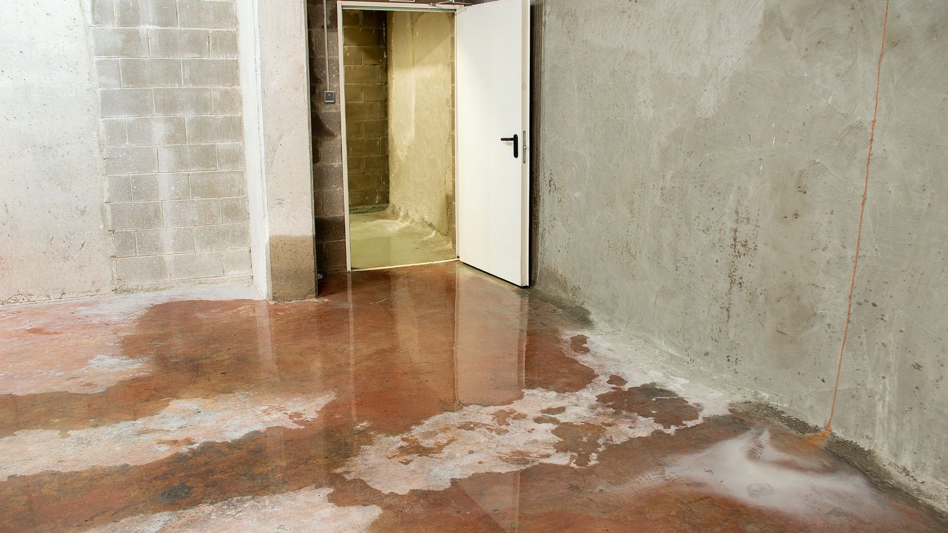 Flooded basement with water covering concrete floor near open door