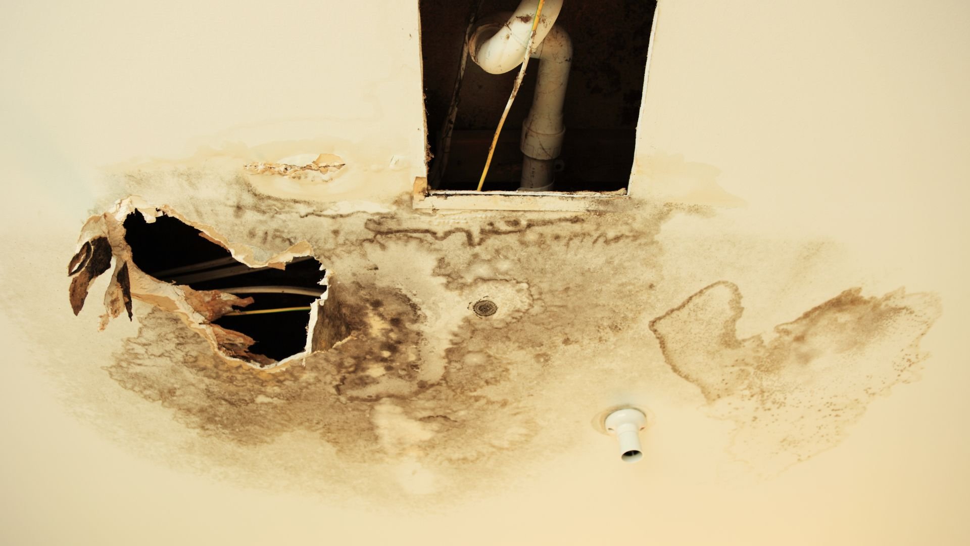 Water damaged wall with hole and exposed pipes, showing mold and decay