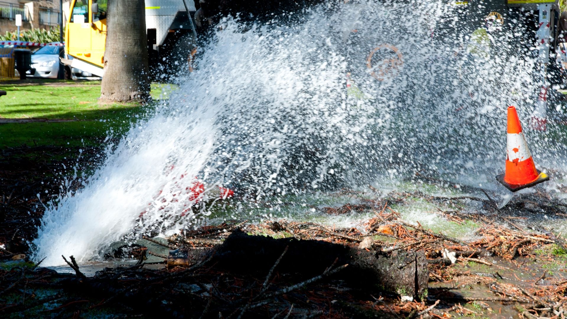 Water main break spraying massive jet of water near tree and orange safety cone